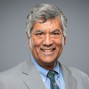 Raj Anand